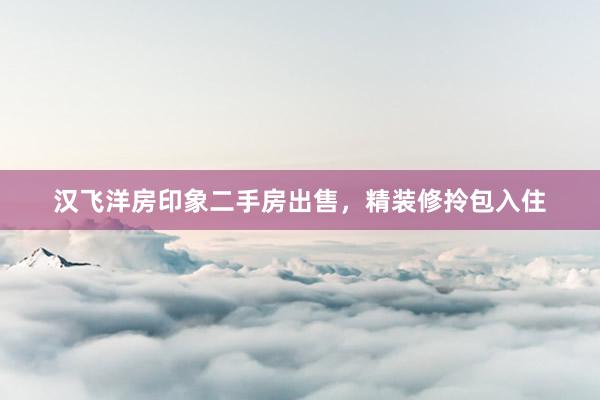 汉飞洋房印象二手房出售，精装修拎包入住