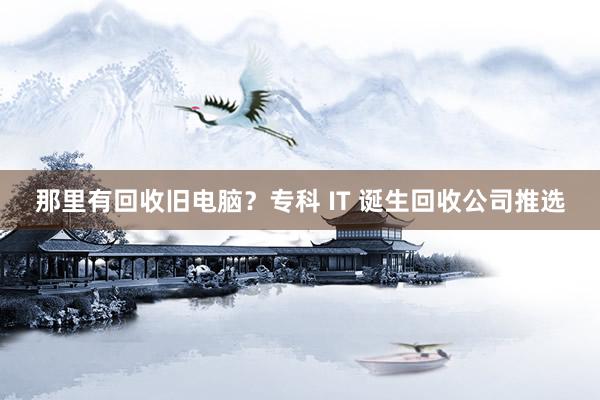 那里有回收旧电脑？专科 IT 诞生回收公司推选