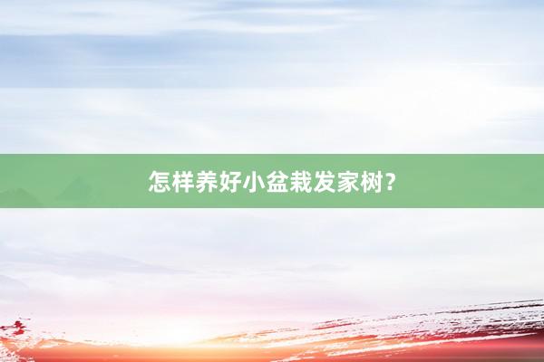 怎样养好小盆栽发家树？