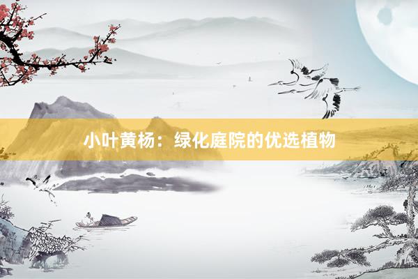 小叶黄杨：绿化庭院的优选植物